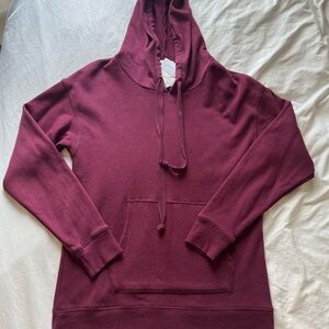 American Eagle Outfitters Berry Crewneck Hoodie